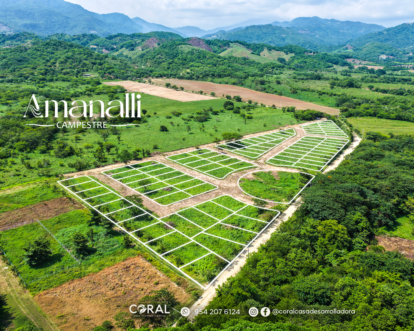 Amanalli Campestre