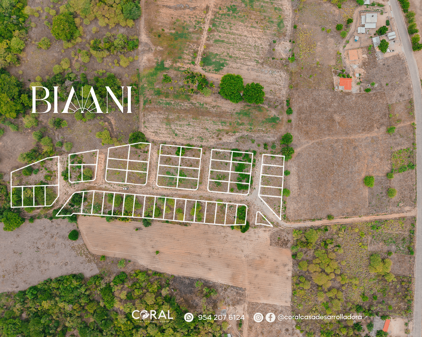 Biaani