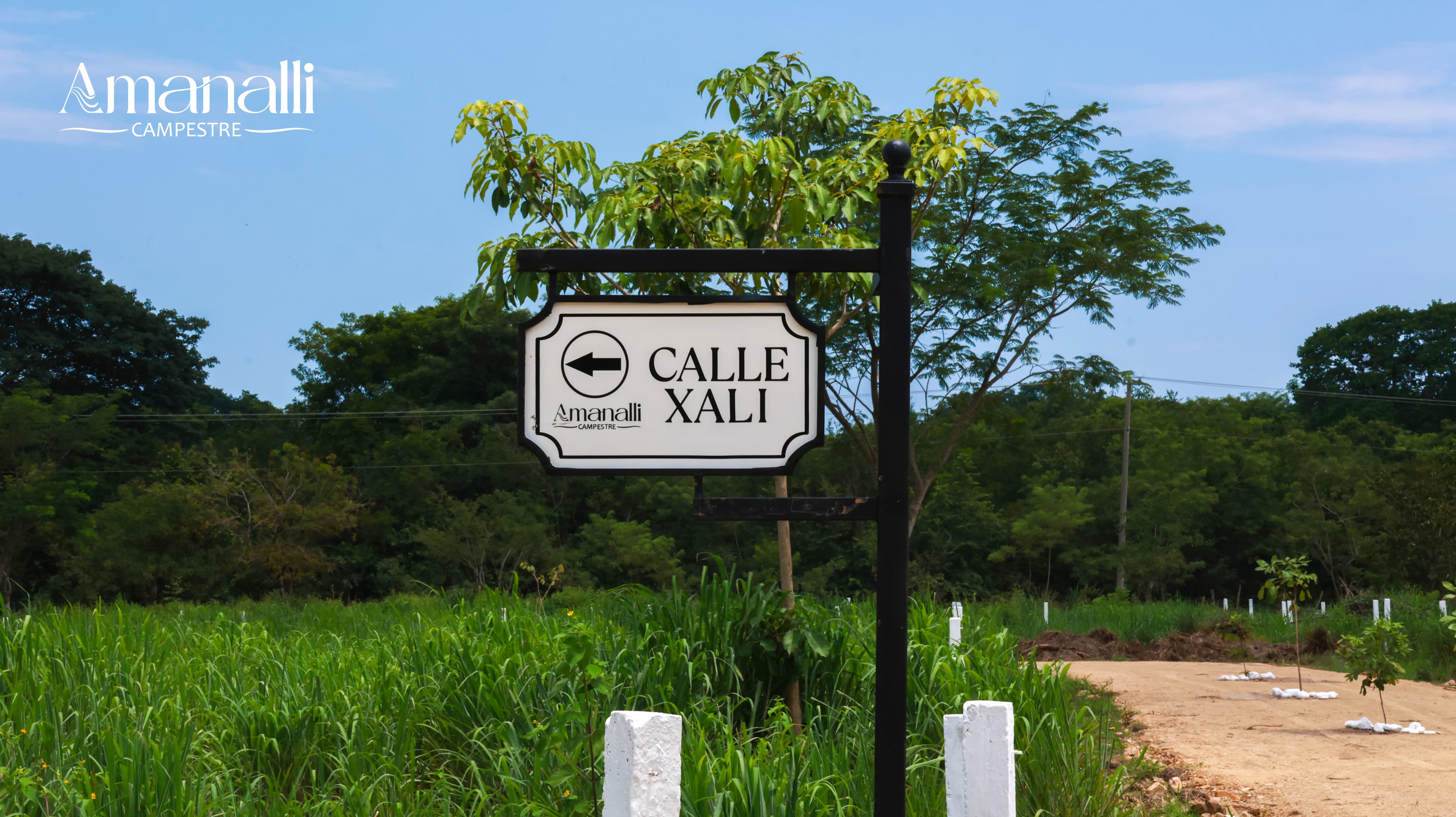 Amanalli Campestre