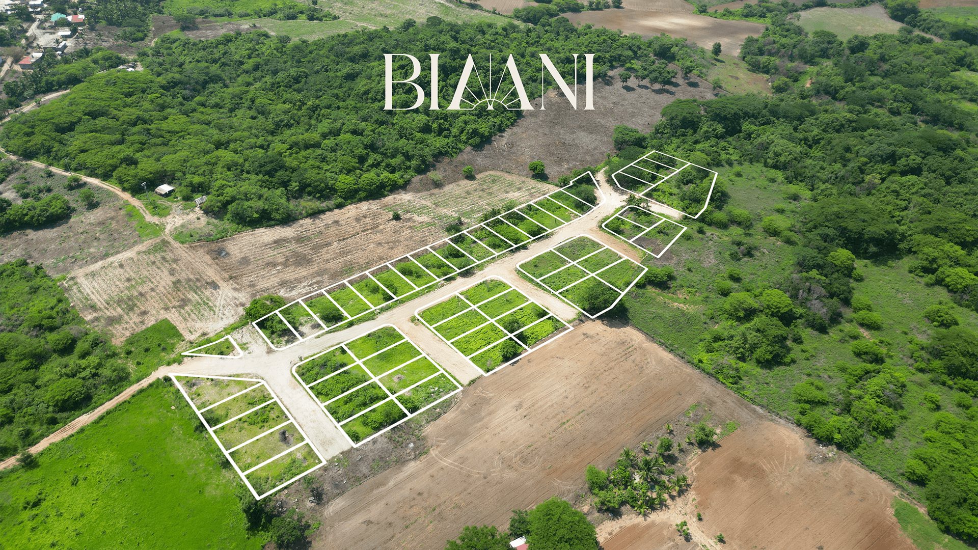 Biaani