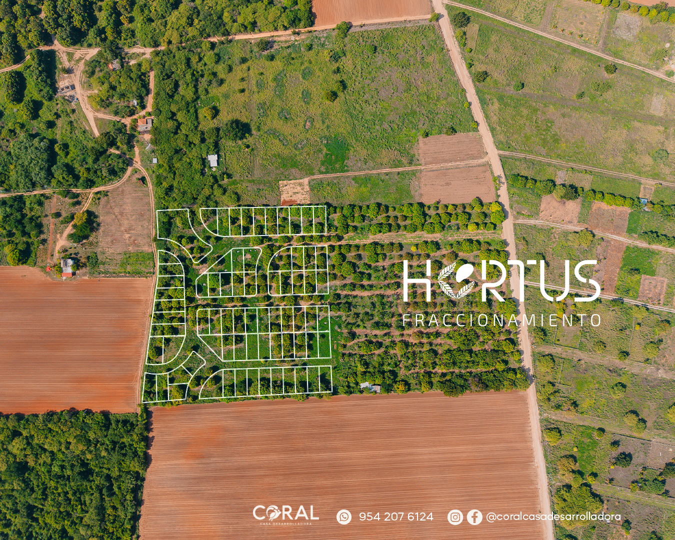 Hortus